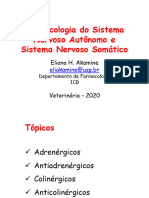 Adrenergicos e Antiadrenã©rgicos - VeterinÃ¡ria - 2020