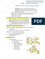 Kapandji Resumen Generalidades de Columna
