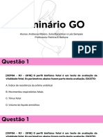 Seminário GO 11.01