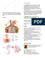 Anatomia 01 11042023