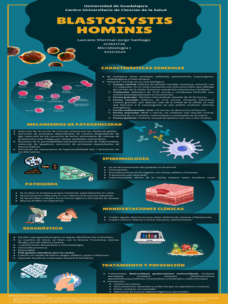 Blastocystis Hominis Santy | PDF | Biología Celular) | Diarrea