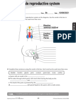 The Male Reproductive System: I CAN..