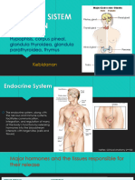 Anatomi Sistem Endokrin Kebidanan