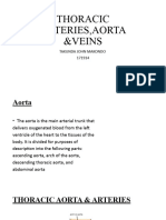 Thoracic Arteries, Aorta &veins