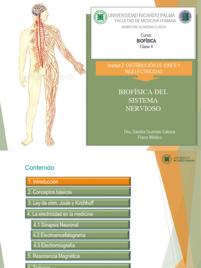 Biofísica del Sistema Nervioso | PDF | Electromiografia | Electricidad