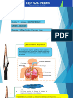 Sesión 7 - 2do Sistema Respiratorio