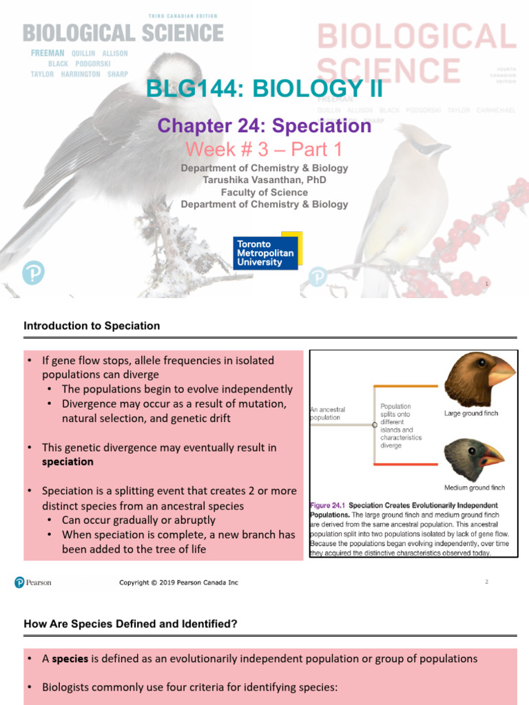 Understanding Speciation Mechanisms | PDF | Species | Hybrid (Biology)