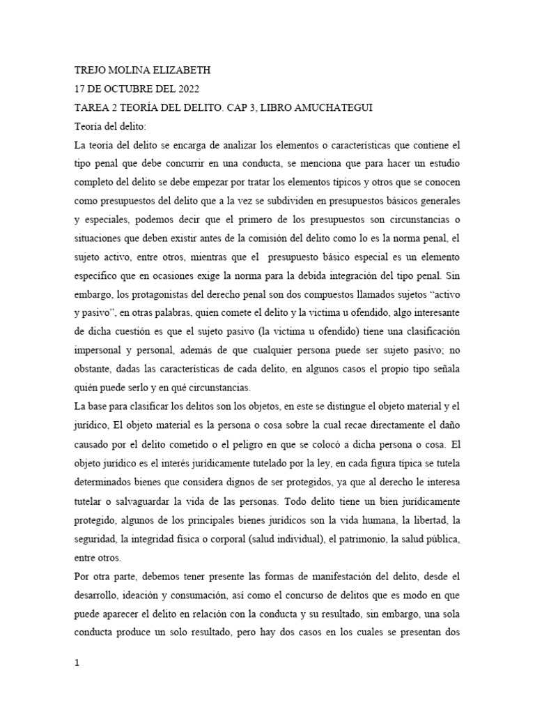 Elementos Clave de la Teoría del Delito | PDF | Derecho penal | Homicidio