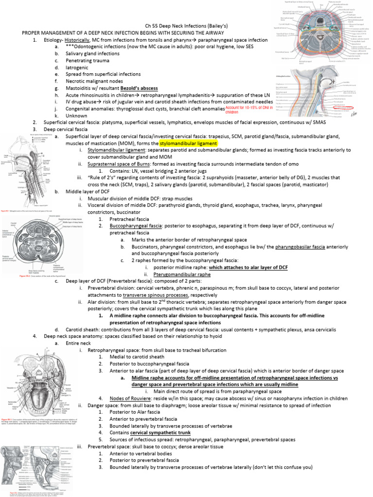 Deep Neck Infections Management Guide | PDF | Common Carotid Artery ...