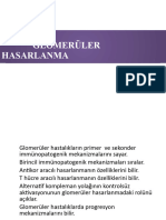 Glomerüler Hasarlanma