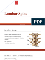 LX Spine Assessment and Treatment