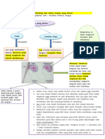 Patofisiologi Dari Cidera Kepala Yang Primer.