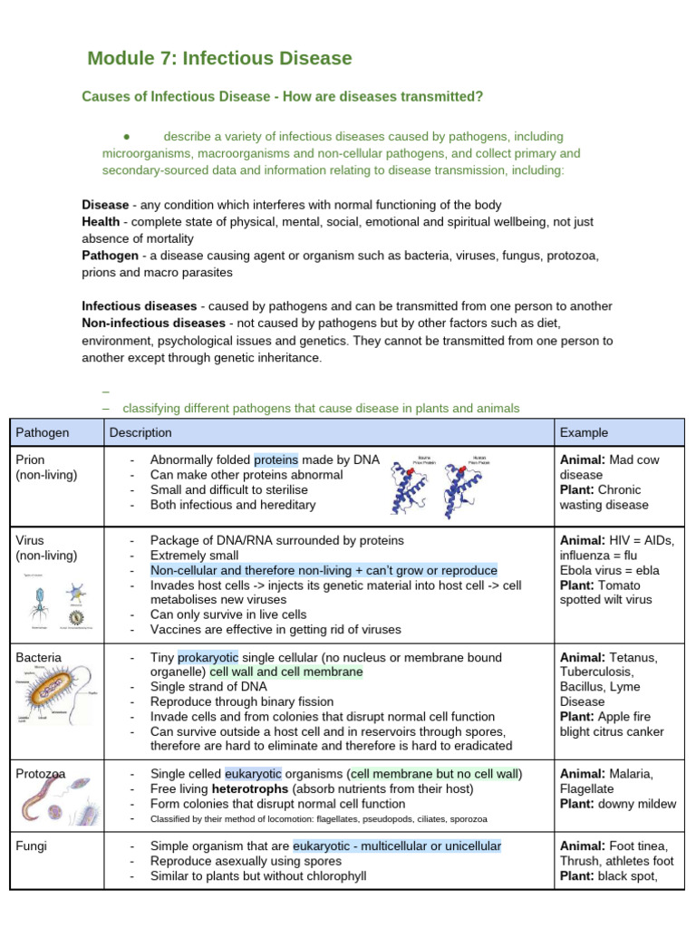 Module 7 Notes | PDF | Immune System | Infection