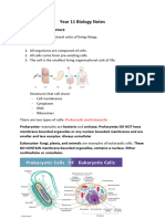 Year 11 Biology Notes