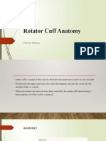 Rotator Cuff Anatomy