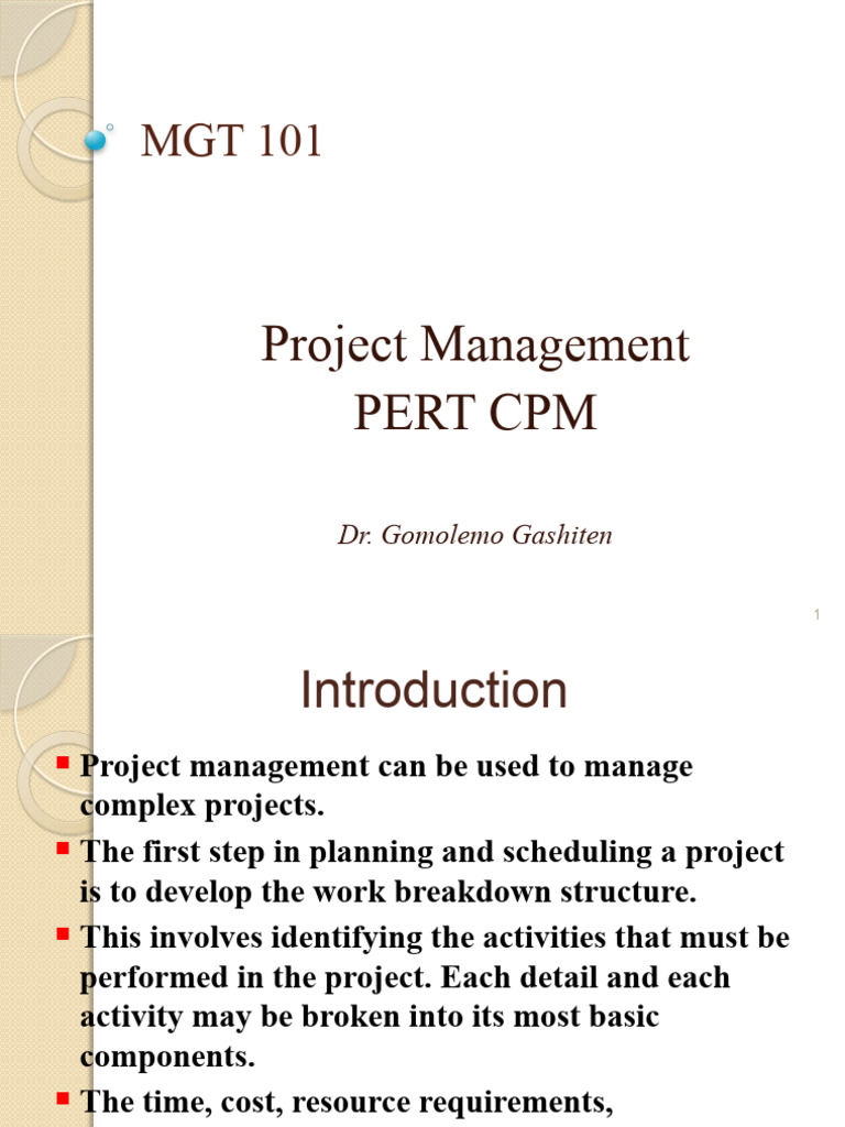 Project Management Basics Overview | PDF | Project Management | Projects
