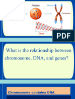 Q3 W4.chromosomal-Mutation