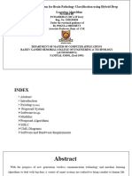 An Improved System For Brain Pathology Classification Using Hybrid Deep Learning Algorithm