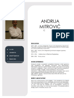 JOB CV Mitrovic Andrija