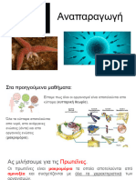4. Αναπαραγωγή
