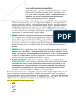 Secuencia Didactica de Desplazamiento de Animales Aéreos 2dogrado