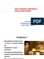 Introduction To Anatomy