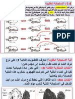 2- الاستجابة الخلوية