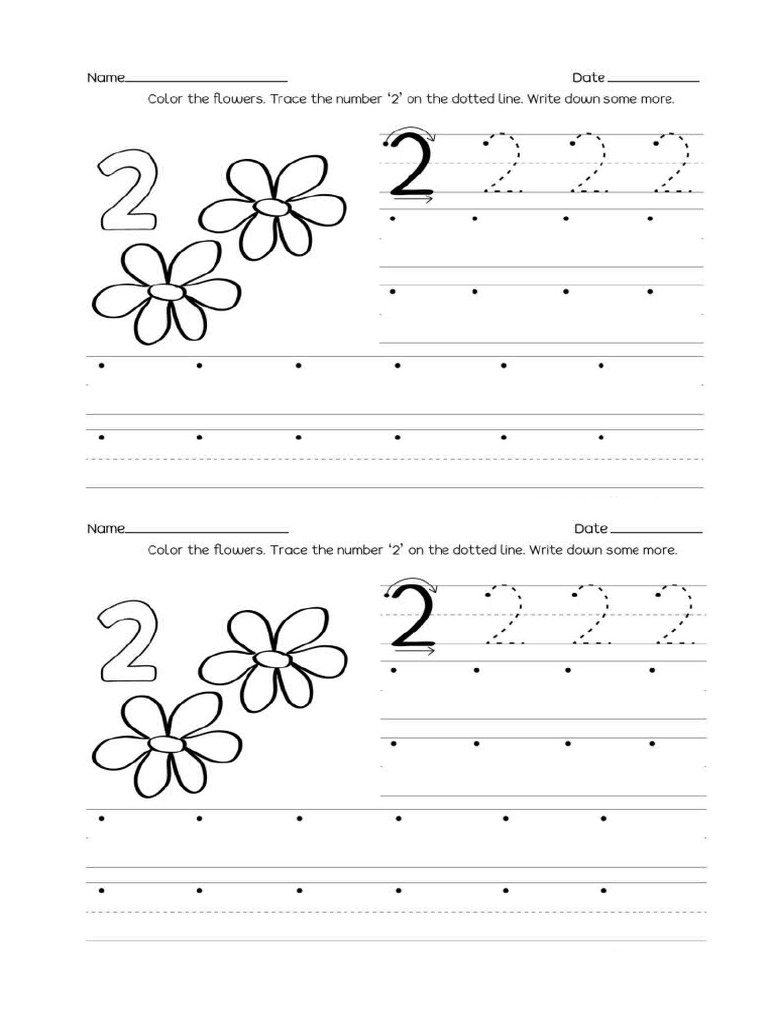 Number 2 | PDF