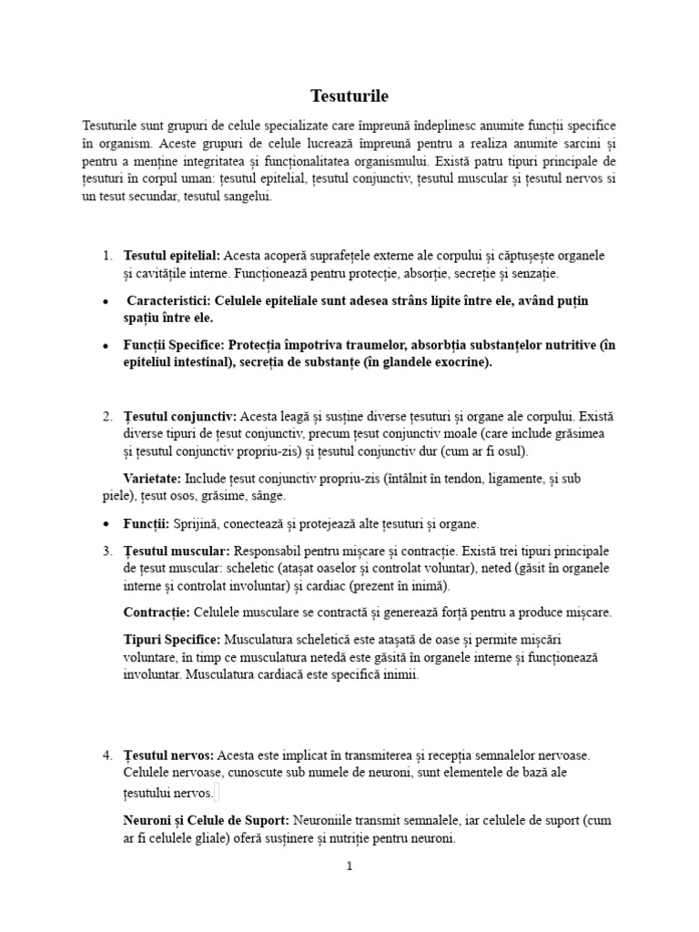 Anatomie Oculara | PDF