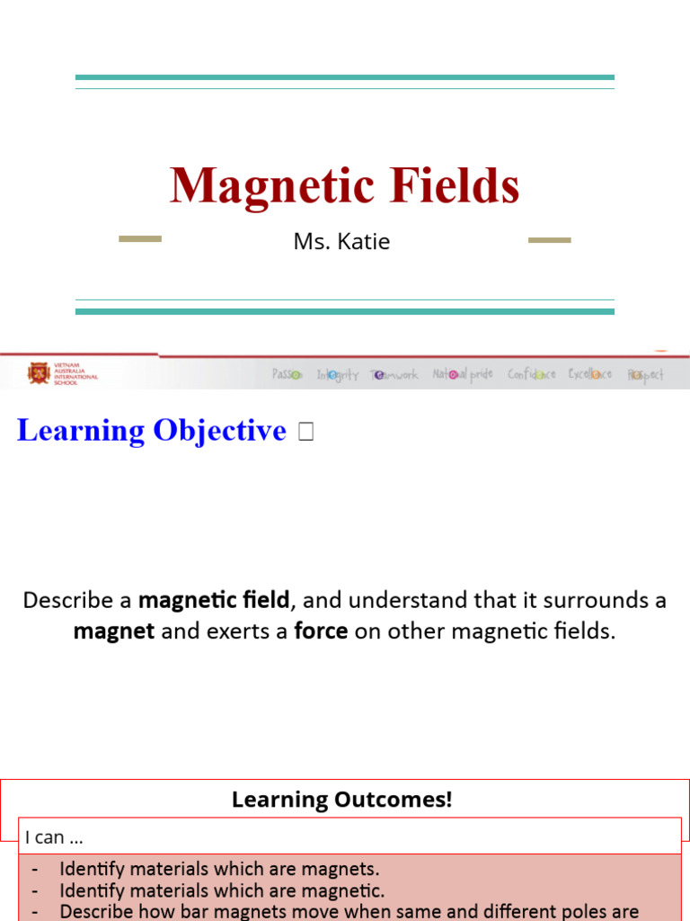 Understanding Magnetic Fields and Forces | PDF | Magnetism | Magnet