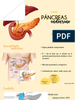 Insulin, Glucagon, Diabetes Mellitus