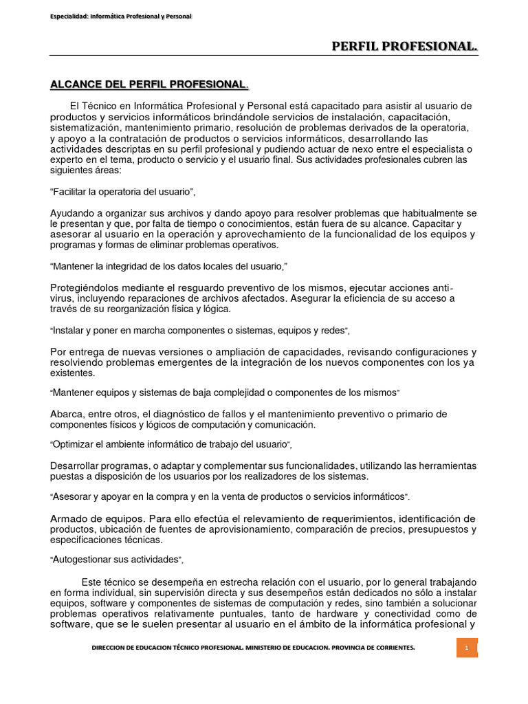 Perfil Profesional. Informática Profesional y Personal | PDF | Software ...