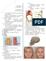 1-Introdução e Características Gerais Dos Elementos Dentais