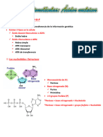 Resumen Acidos Nucleicos.