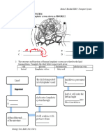 Chapter 8 Lymph and Transport