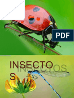 01 Insectos