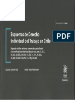 Portada Esquemas de Derecho Individual Del Trabajo en Chile. 2a Edición 2022
