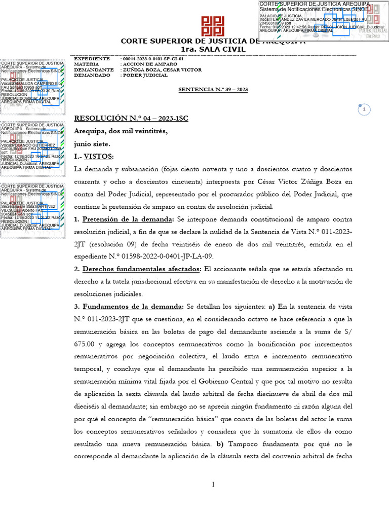 Acción de Amparo contra Sentencia Judicial | PDF | Judicaturas | Ley ...