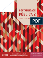 pdf-visualizacao-contabilidade-publica-2