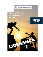 Manual de Liderana 1