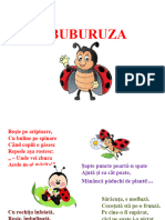 1 Buburuza