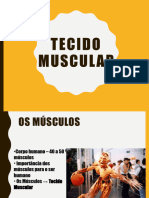 Tecido Muscular Nervoso