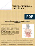 M.T Nutrición Relacionada A