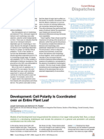 Development Cell Polarity Is Coordinated Over An Entire P - 2018 - Current Biol