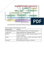 Slide 8-9_K. Immunonutrisi