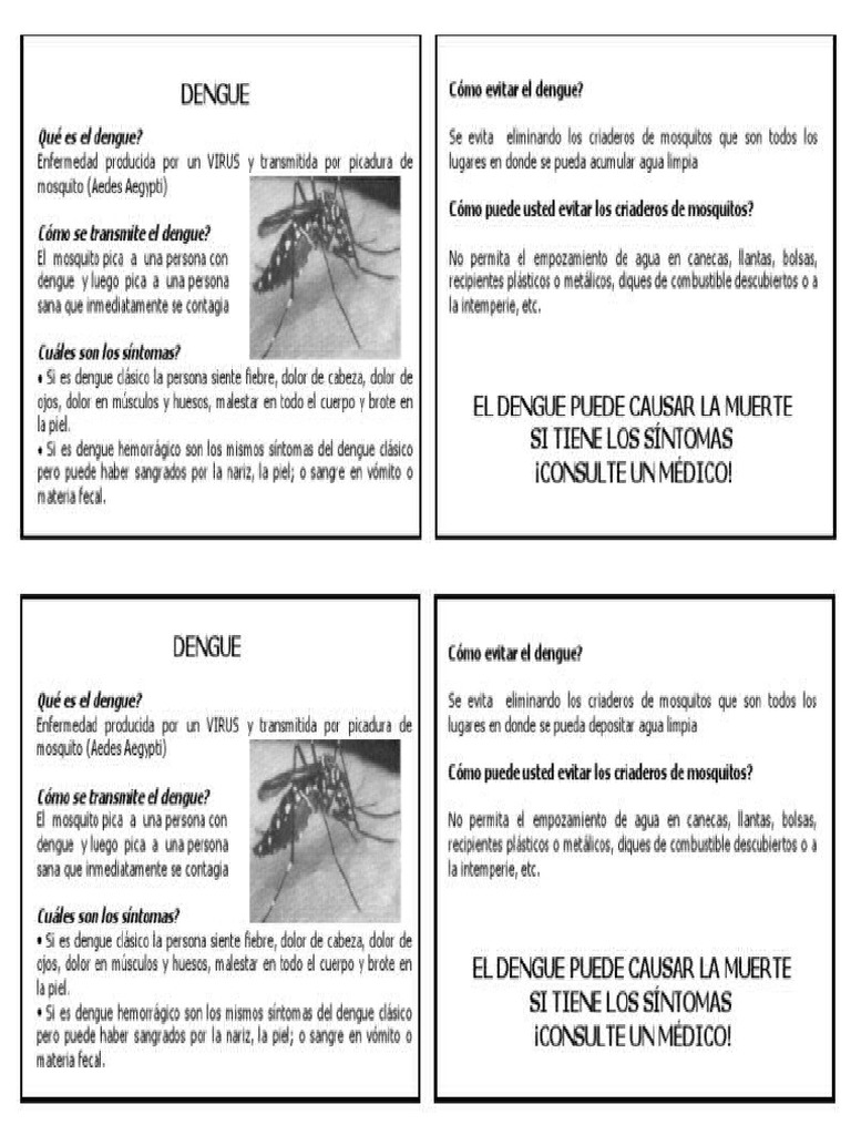 Dengue Fich | PDF