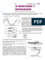 CICLO MENSTRUAL y ANOVULACION, NEUROHIPOFISIS