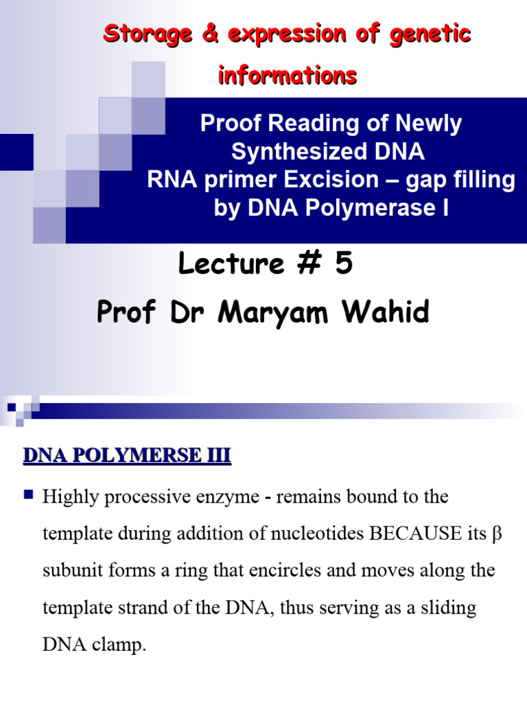 5.proof Reading of Newly Synthesized DNA | PDF | Primer (Molecular ...