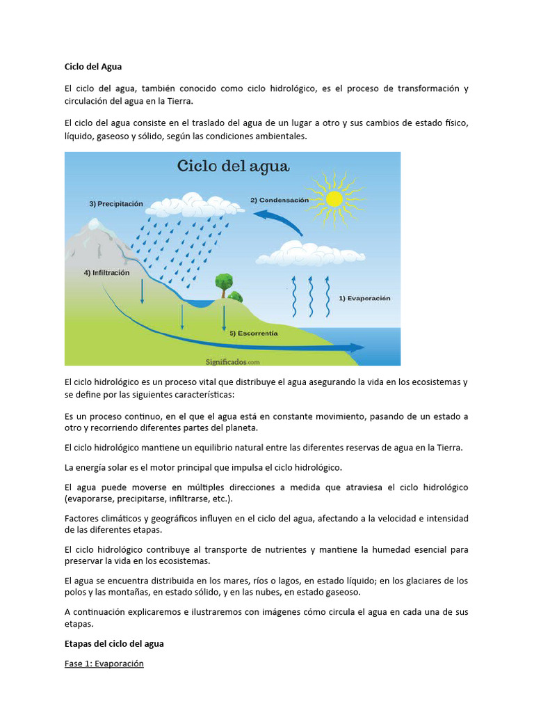 Ciclo Del Agua y Carbono | PDF | El ciclo del agua | Agua