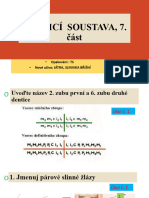 1.2. TRÃ VICÃ SOUSTAVA, 7 Ä Ã¡st